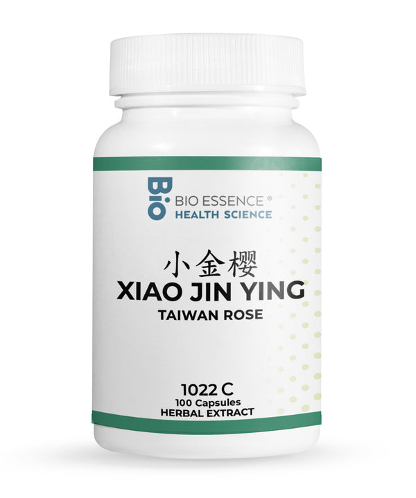 XIAO JIN YING 1022C