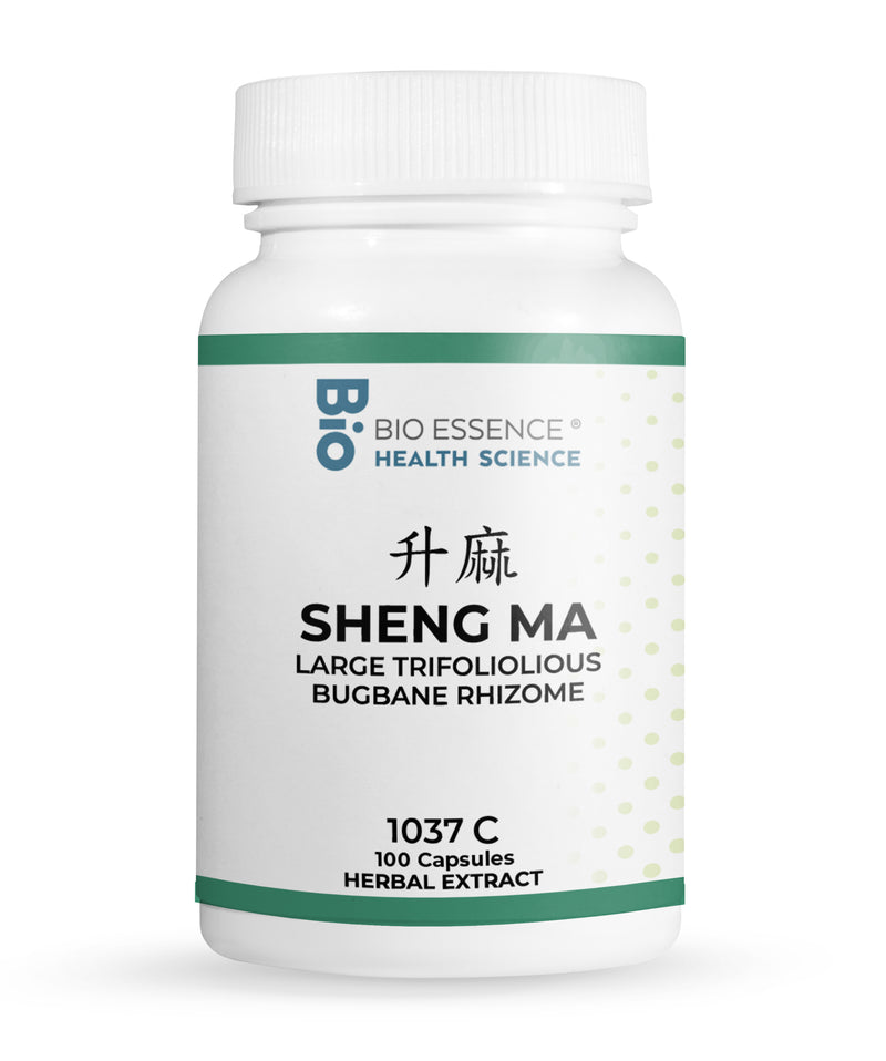 SHENG MA 1037C