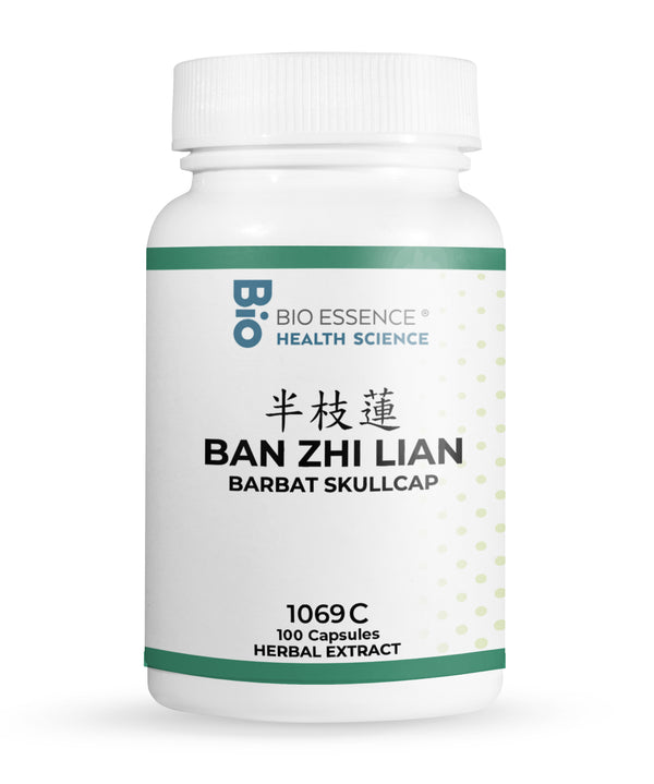 BAN ZHI LIAN 1069C