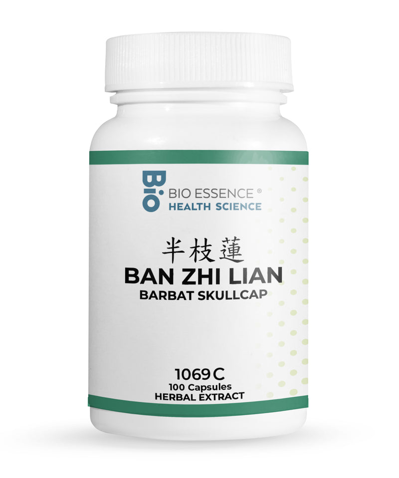 BAN ZHI LIAN 1069C