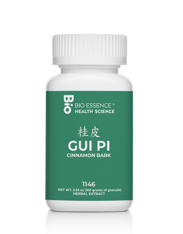 GUI PI 1146
