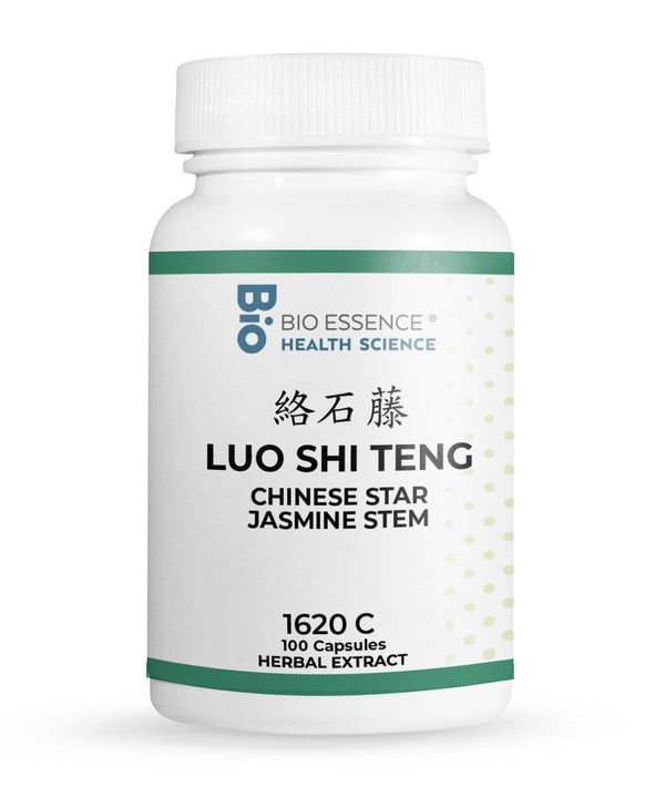 LUO SHI TENG 1620C