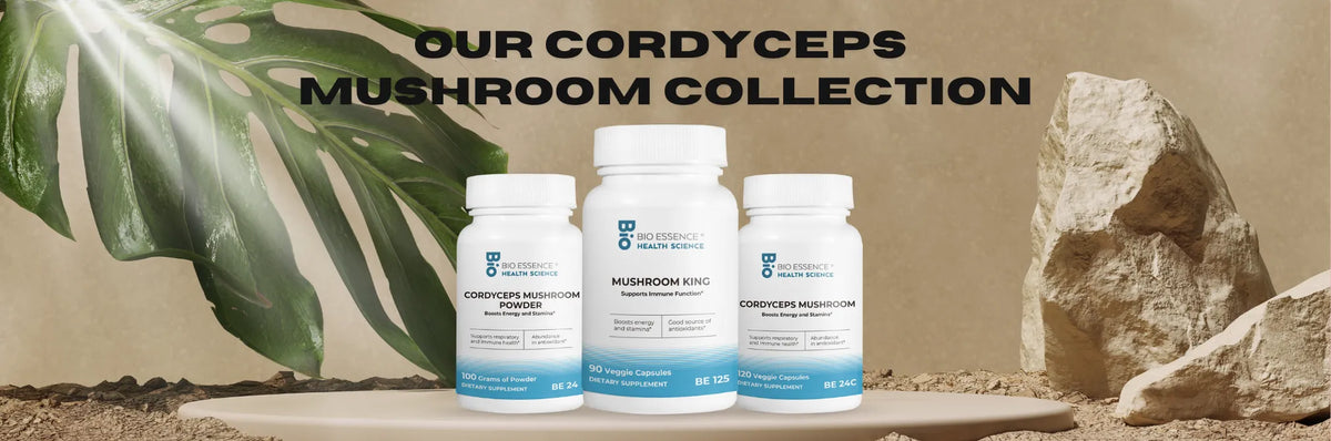 Cordyceps mushroom supplement collection with bottles on a natural background